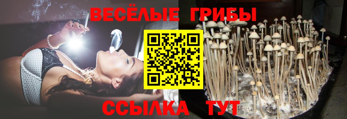 Изобильный  Галлюциногенные грибы Magic Shrooms  где продают наркотики  Вход с VPN  Псилоцибиновые грибы GOLDEN TEACHER 